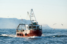 Мурманск - Морская рыбалка на Баренцевом море