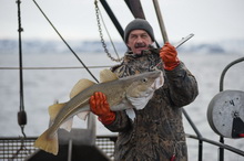 Мурманск - Морская рыбалка на Баренцевом море 03